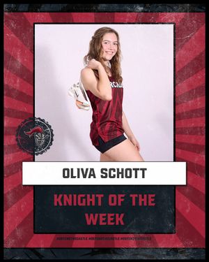 Image post by @arcadia_knights on Instagram