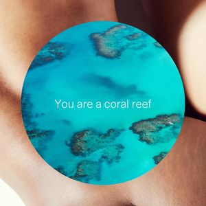 Image post by @seed on Instagram