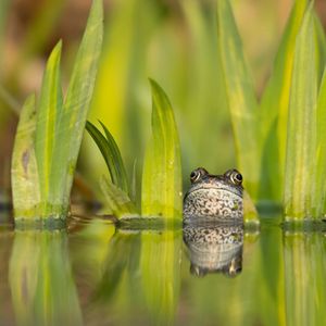 Image post by @rspb on Instagram