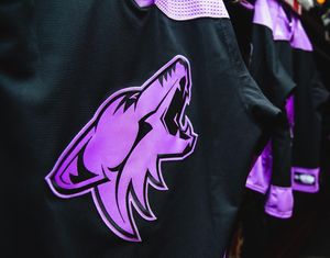 Image post by @losyotes on Instagram