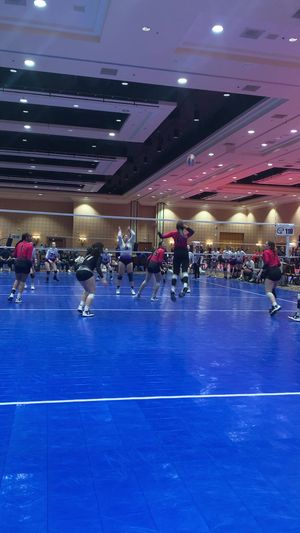 Video post by @simbavolleyball on TikTok