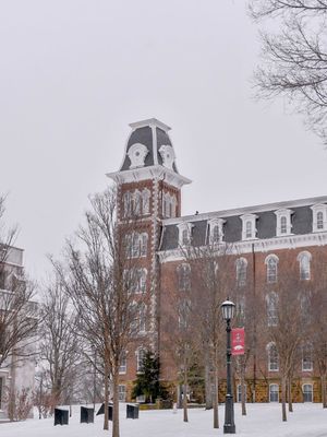 Image post by @uarkansas on Instagram