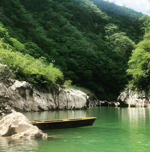 Image post by @ricardoa_alonso on Instagram
