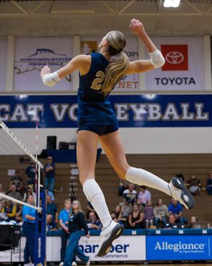 Image post by @msubobcatsvb on Instagram