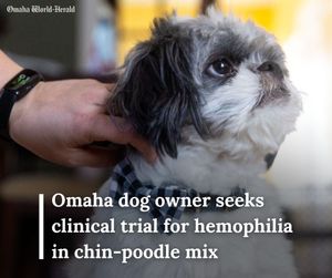 Image post by @omahaworldherald on Instagram