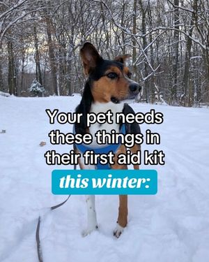 Image post by @americanredcross on Instagram
