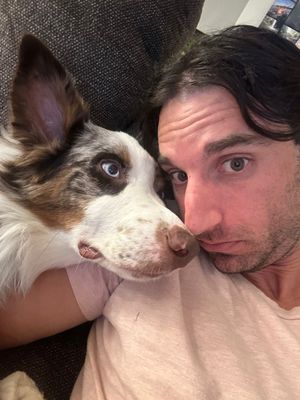 Video post by @randysilvertv on TikTok