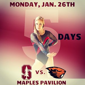 Image post by @stanfordgymnastics on Instagram