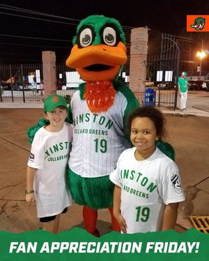 Image post by @gowoodducks on Instagram