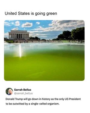 Image post by @greenpeace on Instagram
