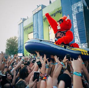 Image post by @bennythebull on Instagram