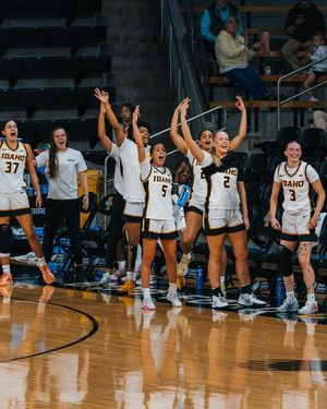 Image post by @vandalswbb on Instagram