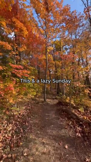 Video post by @grandelylodge on Facebook