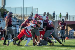 Image post by @zoeneumer on Instagram