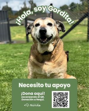 Image post by @tierradenando on Instagram