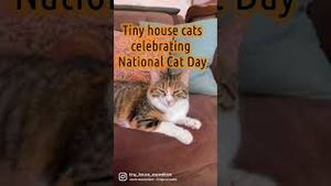 Video post by @tinyhouseexpedition on YouTube