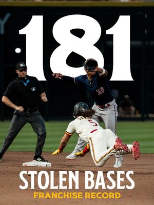 Image post by @saltlakebees on Instagram