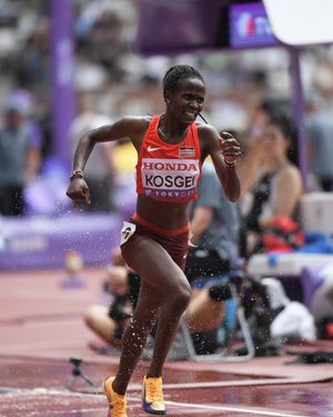 Image post by @unmloboxctf on Instagram