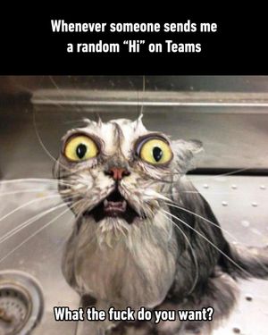 Image post by @9gag on Instagram