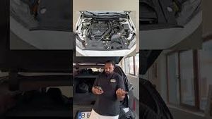Video post by @bagheeramode on YouTube