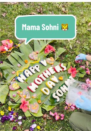 Video post by @disneyparks on TikTok