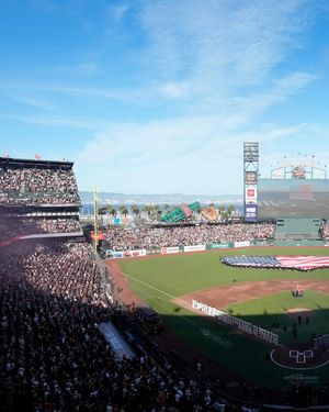 Image post by @mlbonfox on Instagram