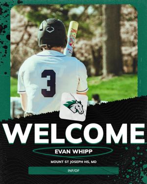Image post by @stevensonbsb on Instagram