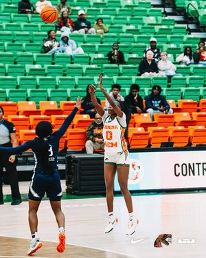 Image post by @famuwbb on Instagram