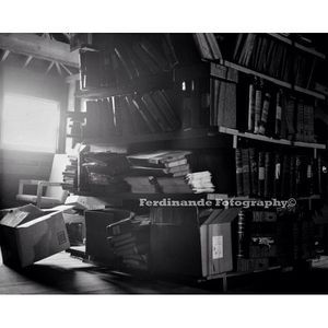 Image post by @mferdinande on Instagram