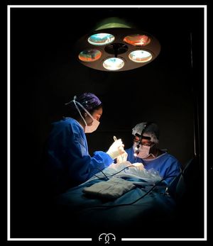 Image post by @drfatihalgan on Instagram