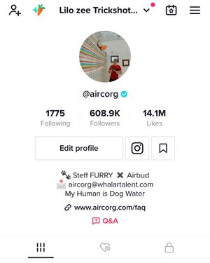 Image post by @aircorg on Instagram