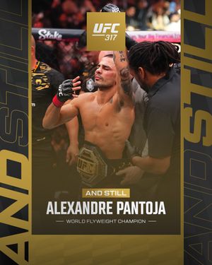 Image post by @ufc on Instagram