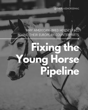 Image post by @theplaidhorsemag on Instagram