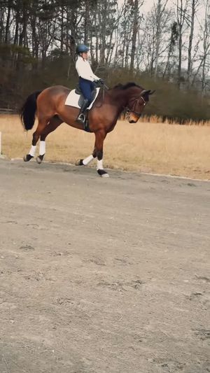 Video post by @clairecumbee on Instagram