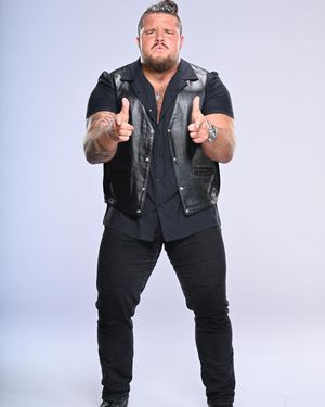 Image post by @tankledgerwwe on Instagram