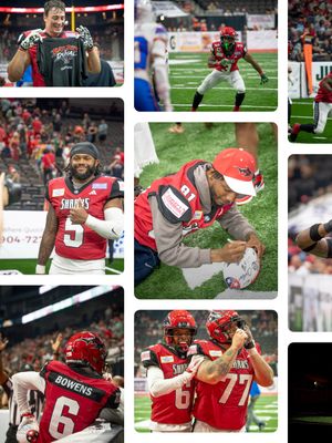 Image post by @jaxsharks on Instagram