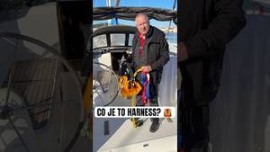 Video post by @jonasederfishing on YouTube