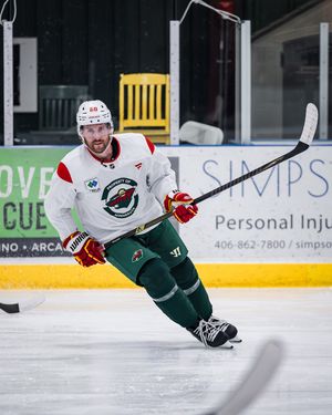 Image post by @minnesotawild on Instagram