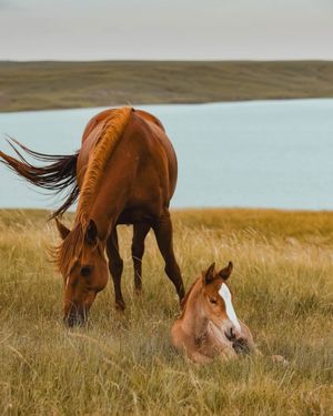 Image post by @travelsouthdakota on Instagram