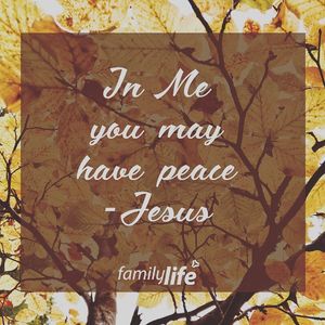 Image post by @familylifenypa on Instagram