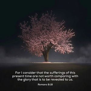 Image post by @carmelchurch on Instagram