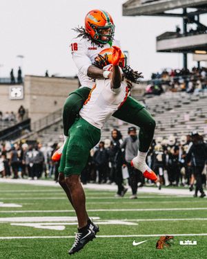 Image post by @famufb on Instagram