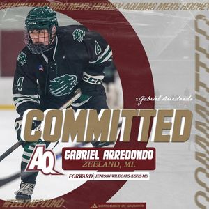 Image post by @aquinashockeycommitments on Instagram