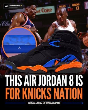 Image post by @soleretriever on Instagram