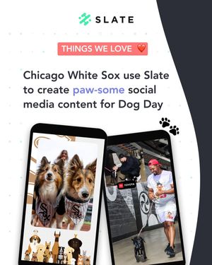 Image post by @slate.teams on Instagram