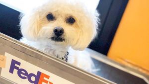 Image post by @FedEx on Twitter