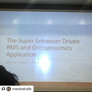 Image post by @marshallu on Instagram