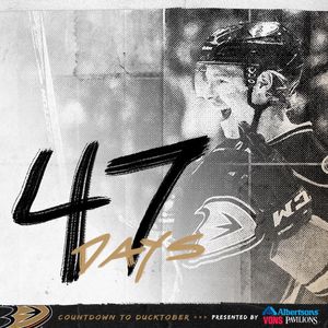 Image post by @anaheimducks on Instagram