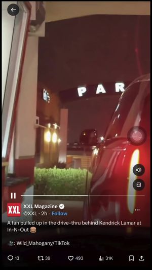 Video post by @wild_mahogany on TikTok