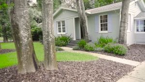 Video post by @TurnerPestControl on Facebook